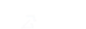 公視